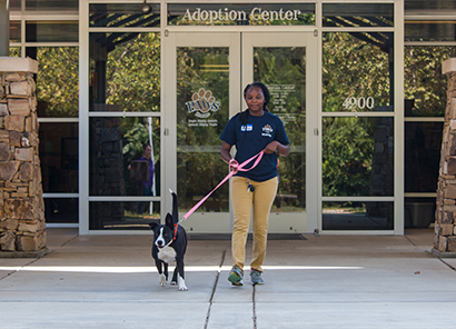 paws humane adoptable dogs