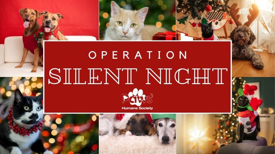 Silent Night: Give the Gift of a Home This Holiday Season