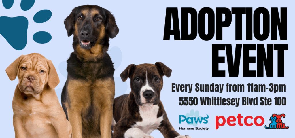 Petco Adoption Event Every Sunday