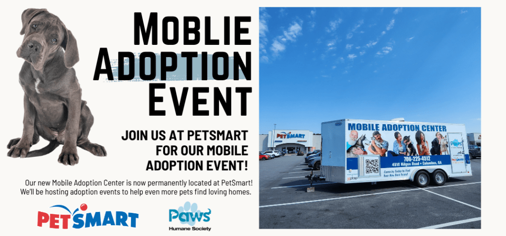 Petsmart Adoption Event