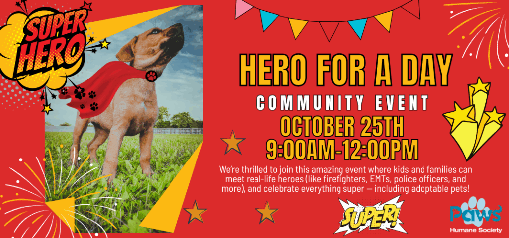 Hero For a Day – Community Event
