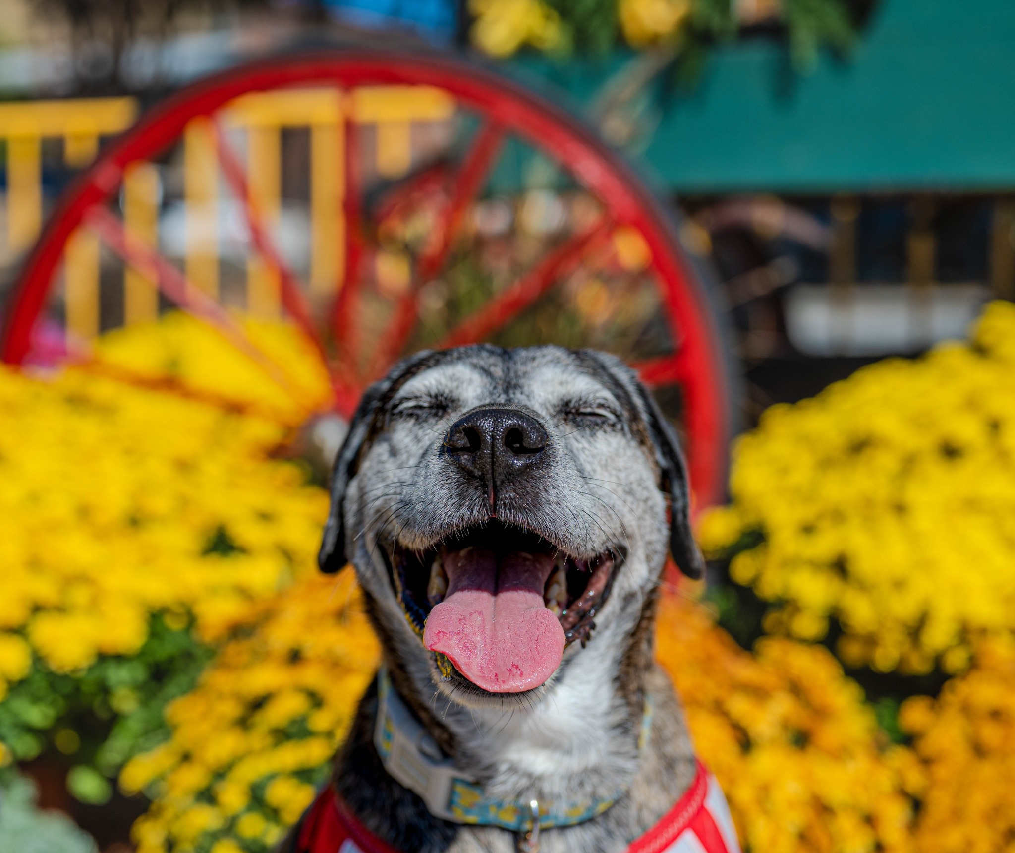 Community outreach and impact