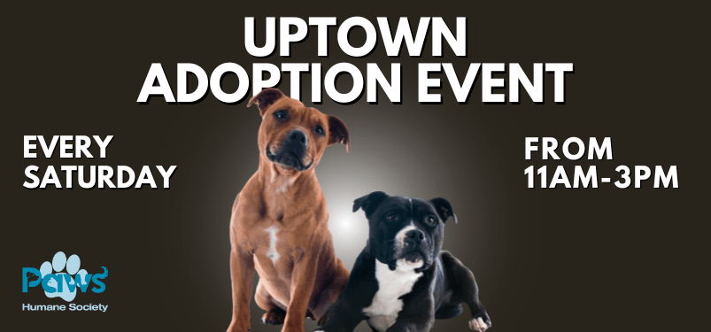 Uptown Adoption Event