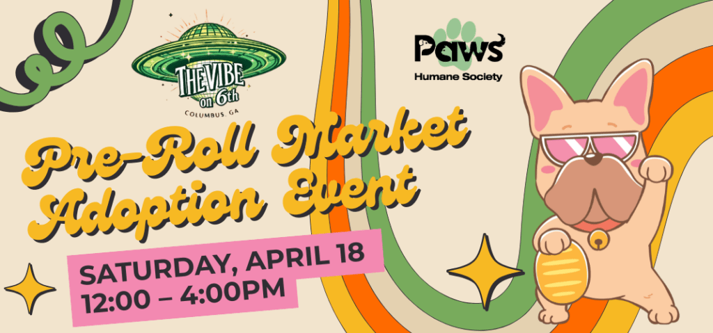 The Vibe on 6th – PreRoll Market – Adoption Event