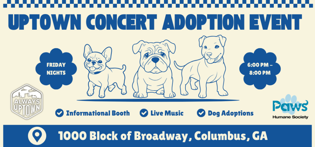 Uptown Concert Adoption Event