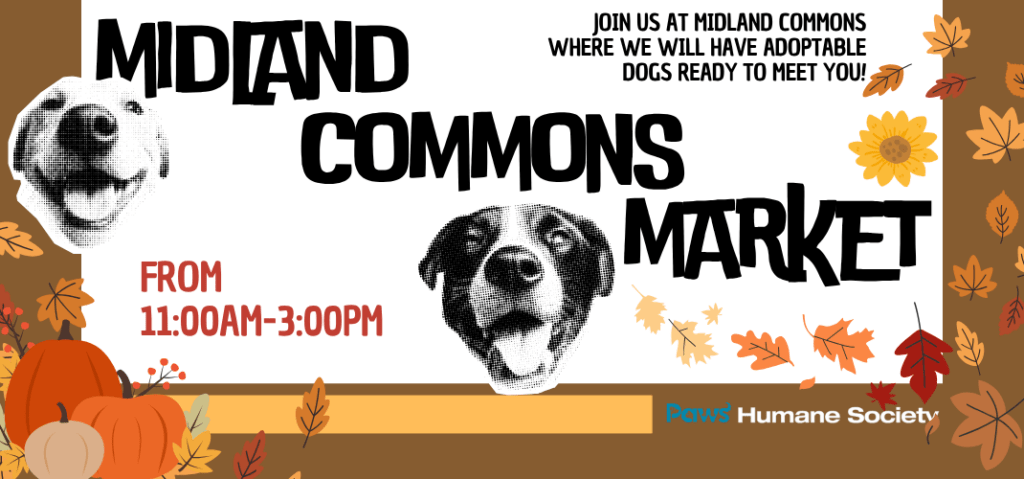 Midland Commons Fall Market