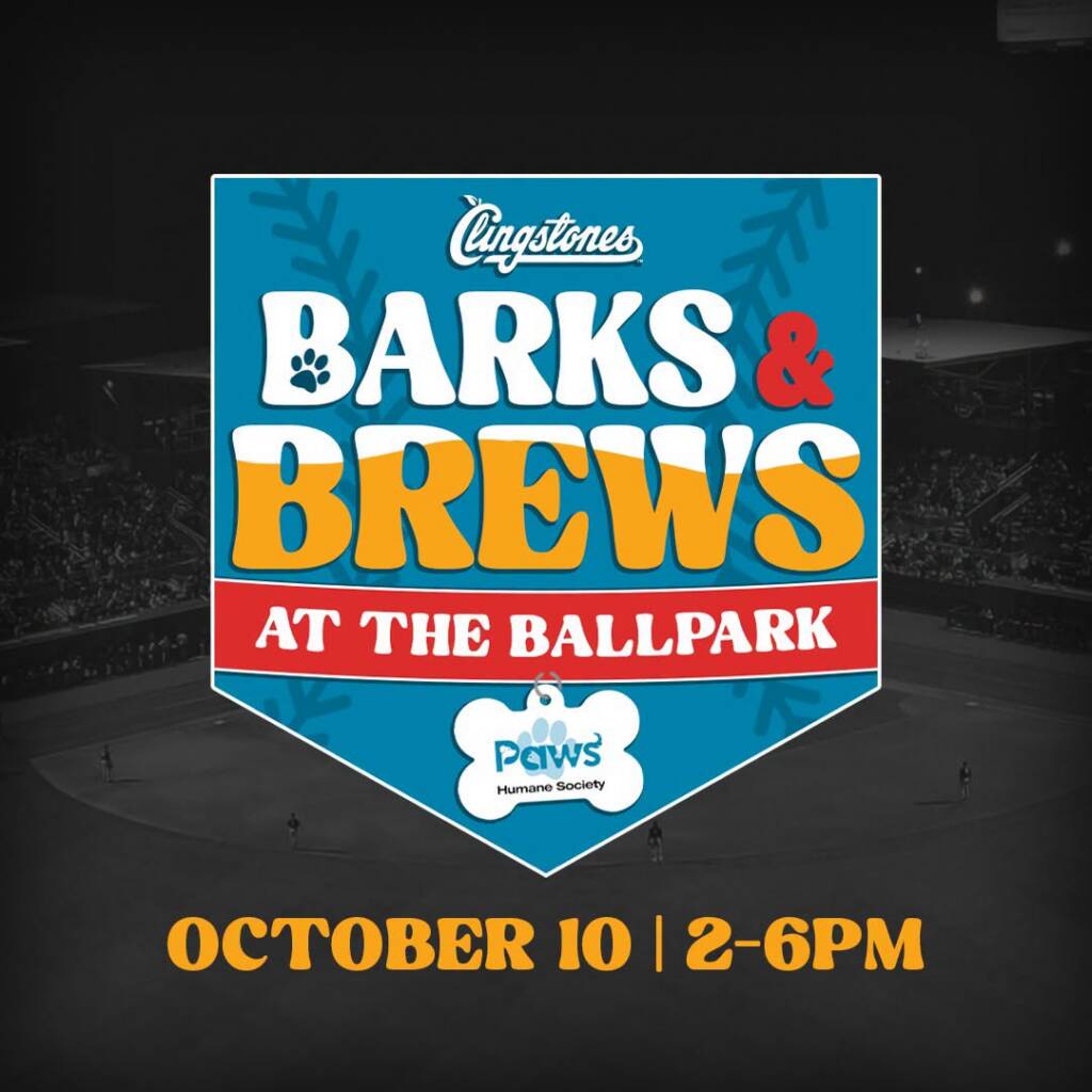 Barks & Brews at the Ballpark