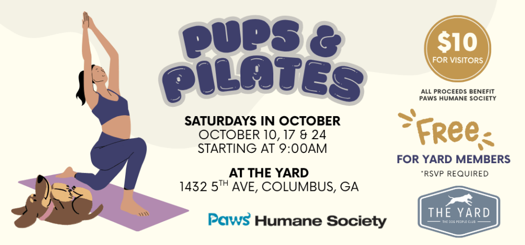Pups & Pilates at The Yard
