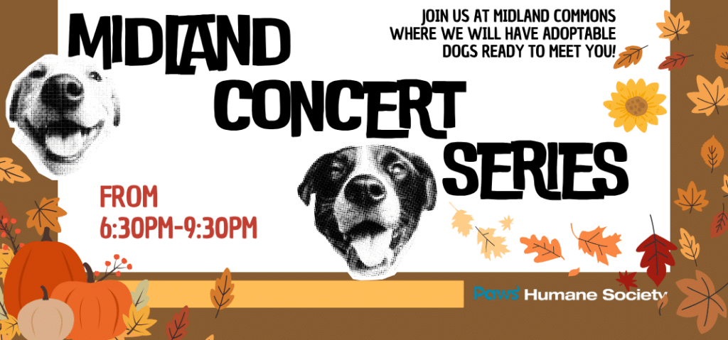 Midland Common Concert Series