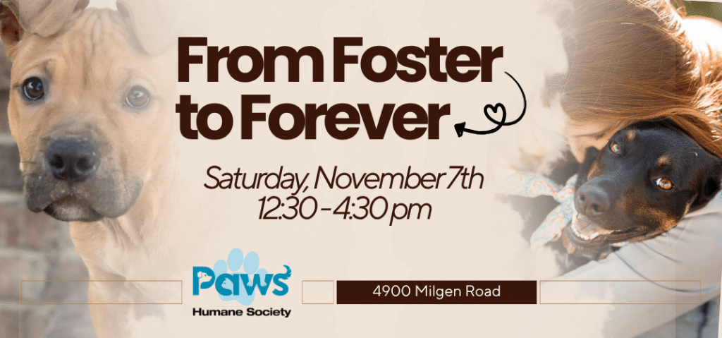 FROM FOSTER TO FOREVER: Adoption Event